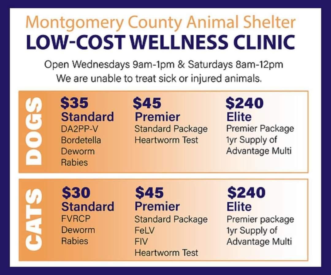 MCAS low-cost wellness clinic card as published on mcaspets.org